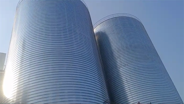 石楼2座混凝土高架卷板仓